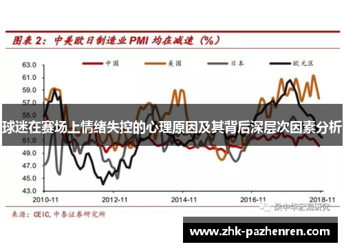 球迷在赛场上情绪失控的心理原因及其背后深层次因素分析
