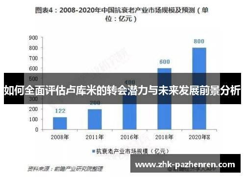 如何全面评估卢库米的转会潜力与未来发展前景分析