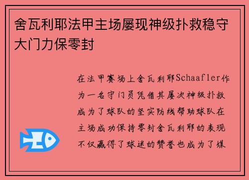 舍瓦利耶法甲主场屡现神级扑救稳守大门力保零封 舍瓦利耶法甲主场屡现神级扑救稳守大门力保零封