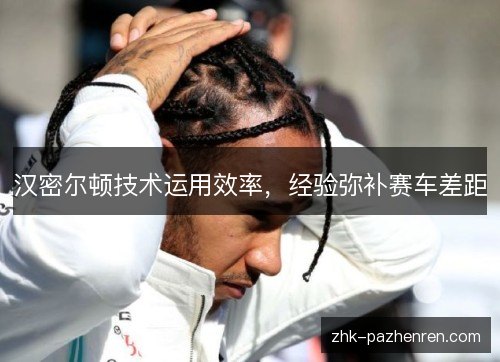 汉密尔顿技术运用效率,经验弥补赛车差距 汉密尔顿技术运用效率,经验弥补赛车差距